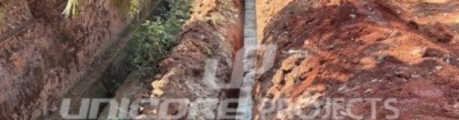 Untitled design - 2024-09-11T050245.208